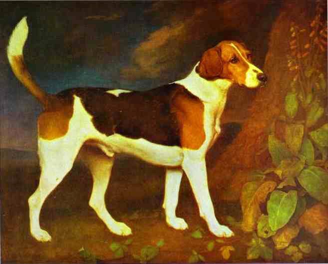 George Stubbs A Foxhound,Ringwod
